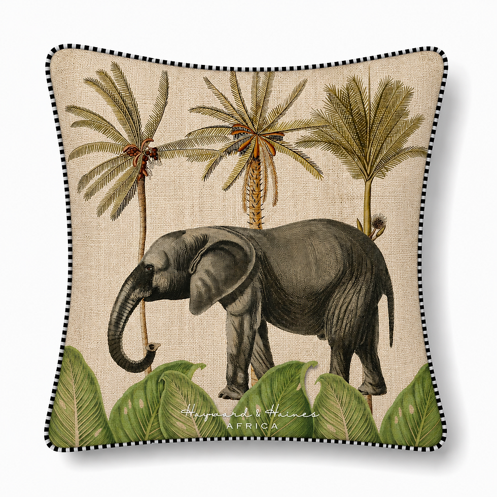 Thumbnail: African Jazz Elephant 