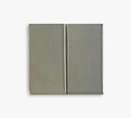 Light Grey color.png