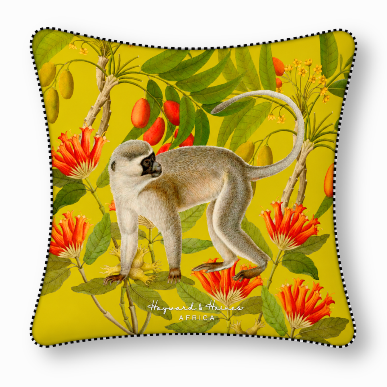 Vervet Monkeys Love Cape Botanicals