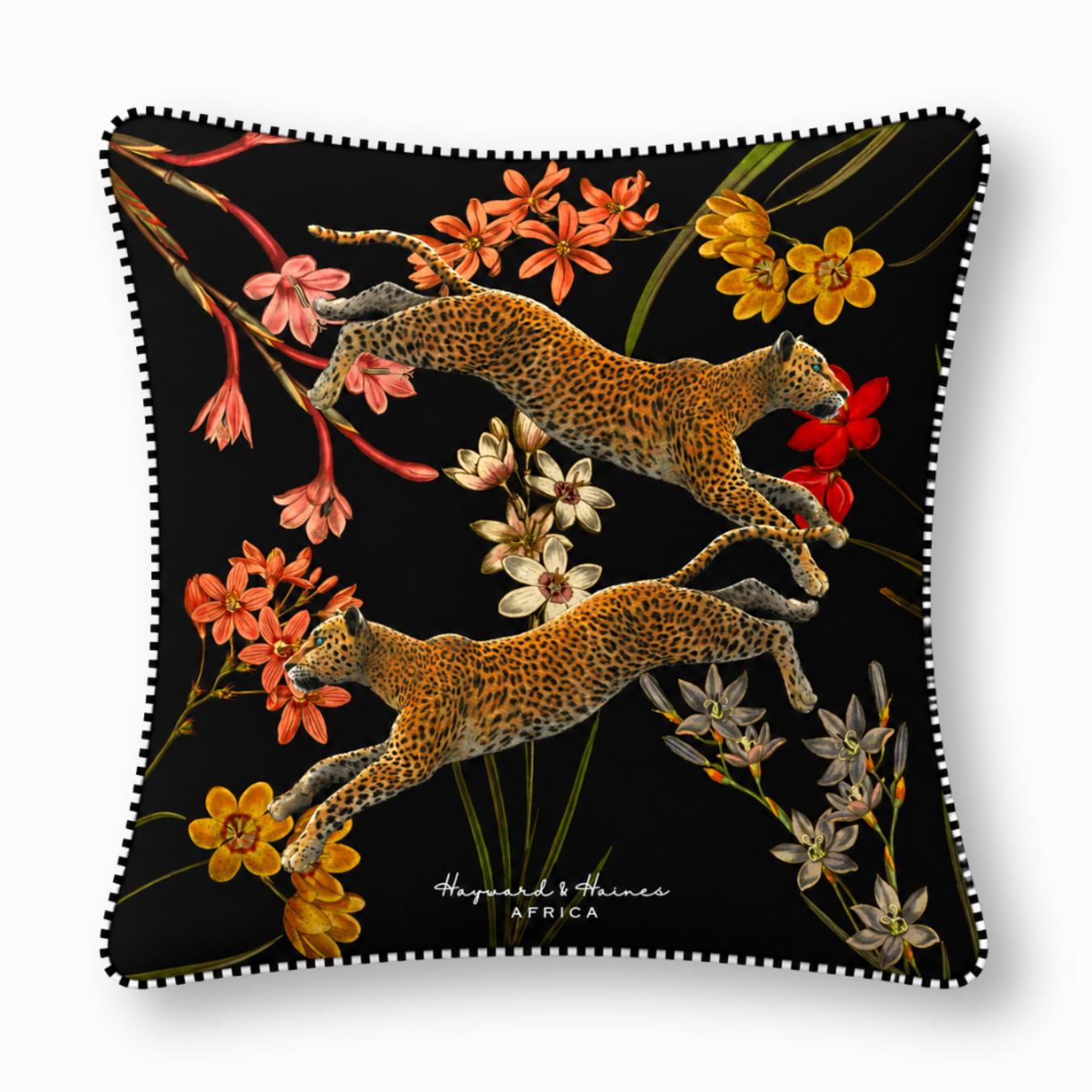 Leopards Leaping in Ixias 