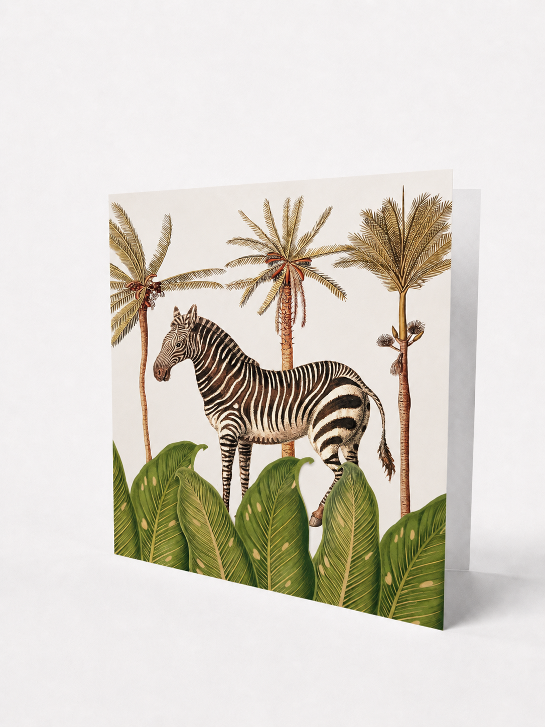 African Jazz | Greeting Card