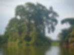 Tortuguero Waterways and Canals Costa Rica