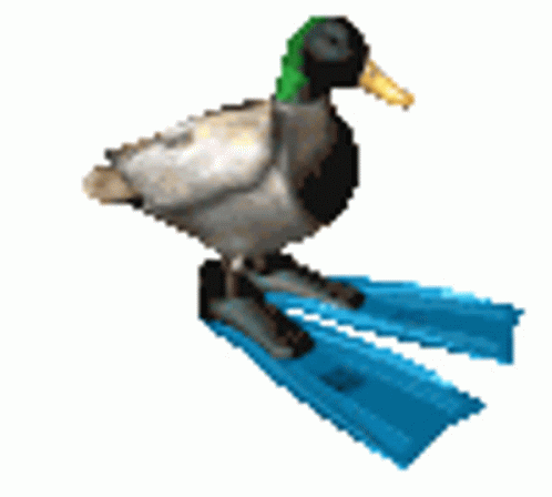 b953028c1da32d099339aa808c16fd12.gif