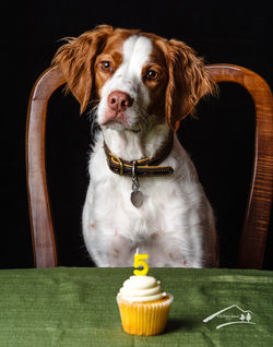 Sadiesbirthday08202017_842-Edit
