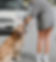 IMG_6503.jpeg