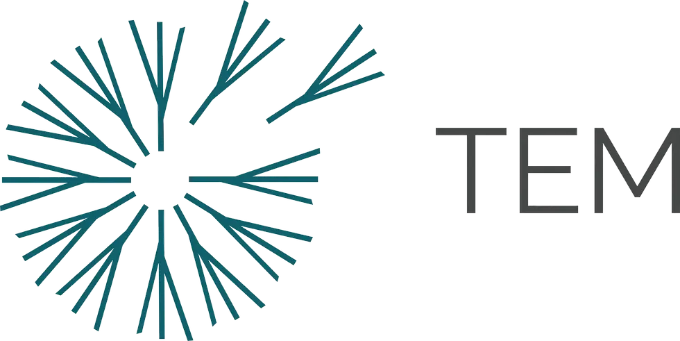tem-logo-package-horizontal-logo-full-color-transparent.webp