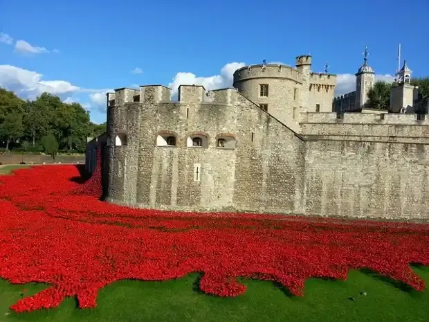 Tower of London'da 30.000 seramik gelincik: II. Dünya Savaşı'nın 80. yılı anısına