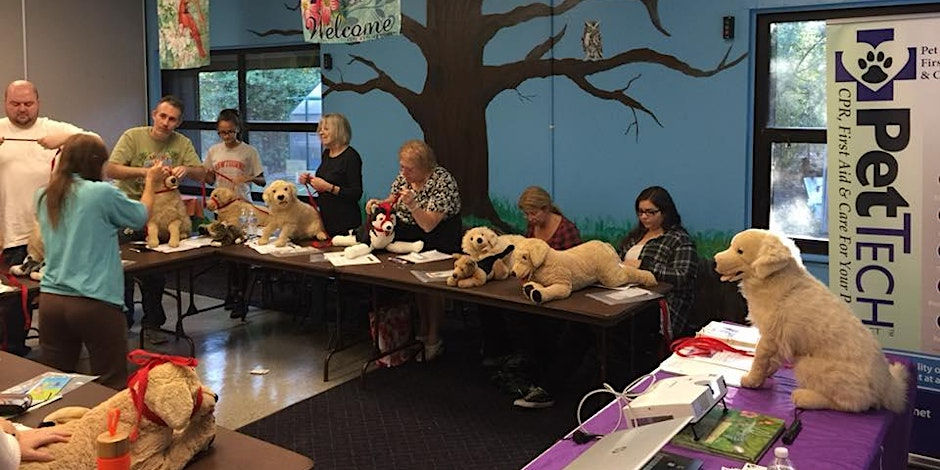 Pet CPR & First Aid Class for Dog & Cat Owners & Professionals