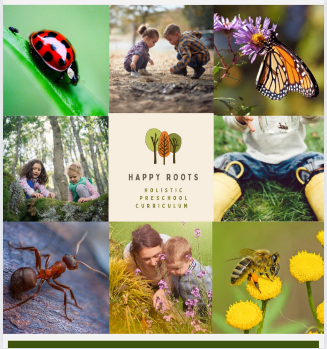 Bugs Curriculum Guide with Printables