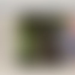 NICE MATIN - 30 mai 2021