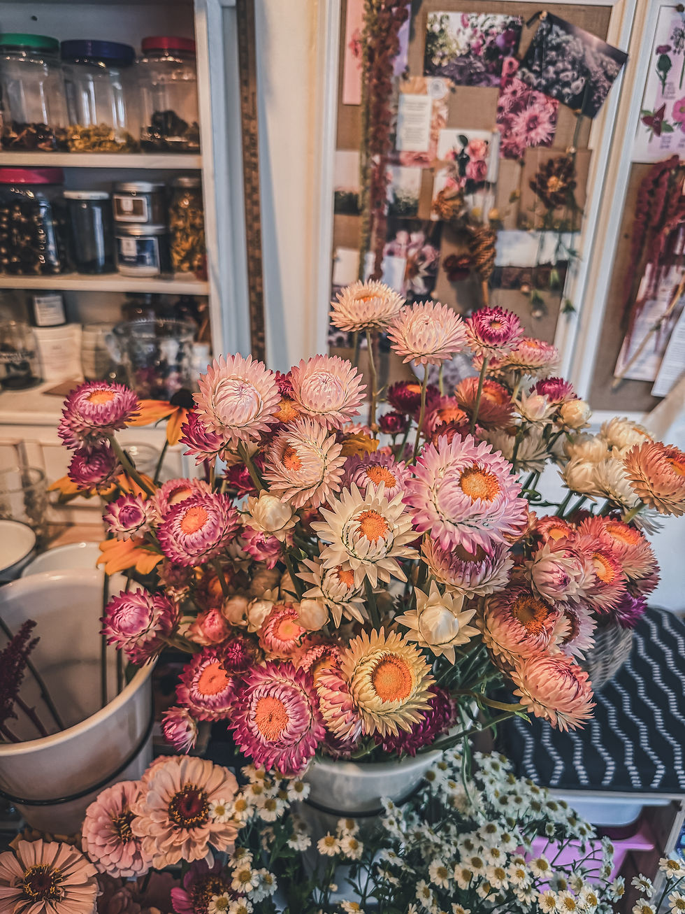 Thumbnail: Floral Arranging Workshop