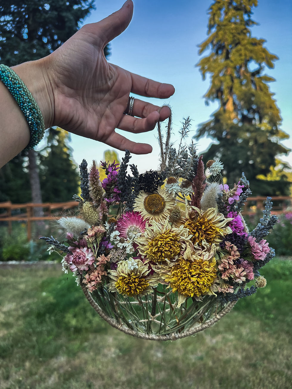 Thumbnail: Private Workshop- Woven Dried Botanical Dreamcatcher