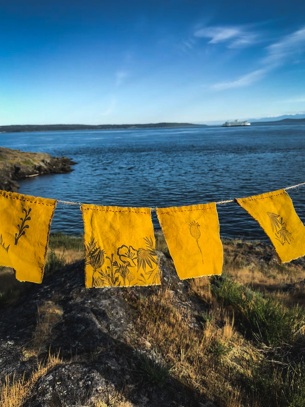 Thumbnail: Natural Dyeing + Block Printing- Workshop (SATURDAY 7/18)