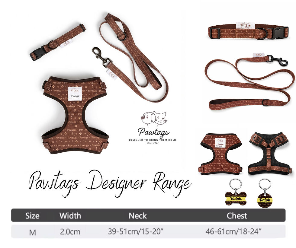 Thumbnail: PAWTAGs Designer Harness + Lead + Collar Set + Custom PAWTAG (Small–Medium)