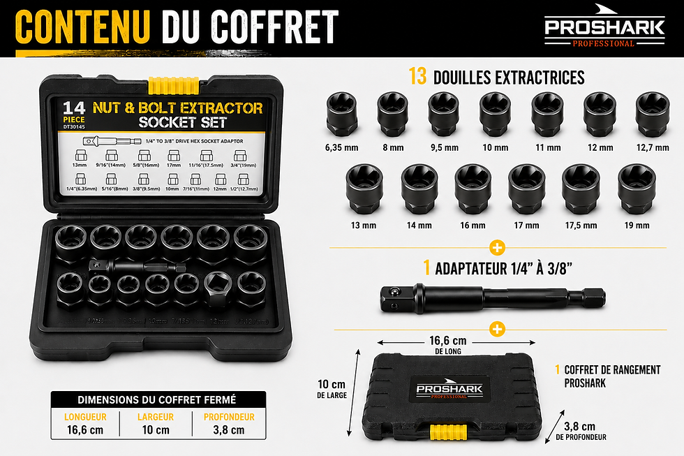 Miniature : COFFRET EXTRACTEURS D'ÉCROUS - 14 PIÈCES
