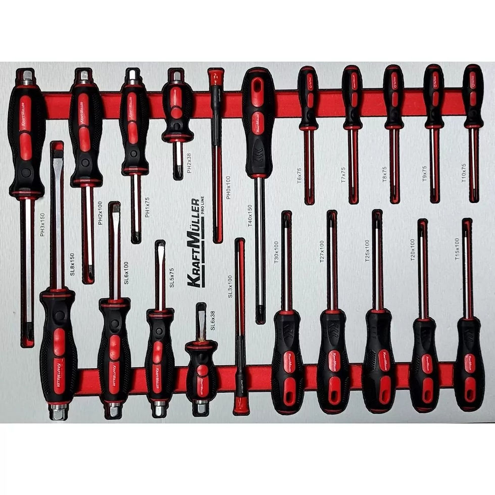 Miniature : Module de tournevis plats, cruciformes et Torx de la servante KraftMüller