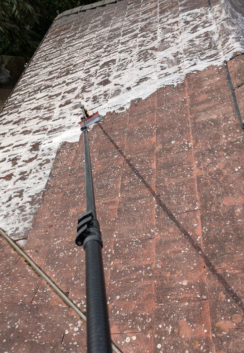 Roof Cleaning