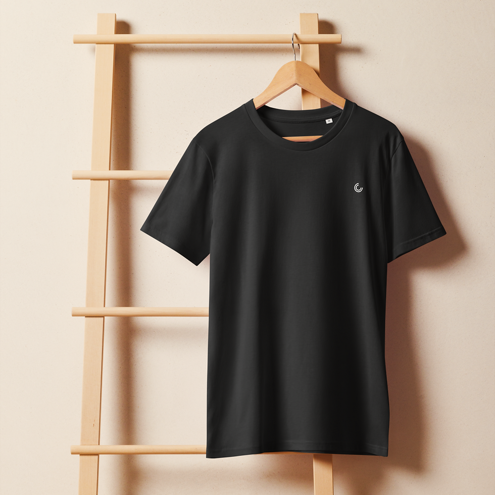 Thumbnail: Men's Organic Cotton Mid-Weight T-Shirt Black