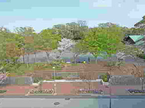 桂山 2023年4月20日