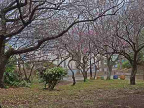 桂山 2023年2月20日