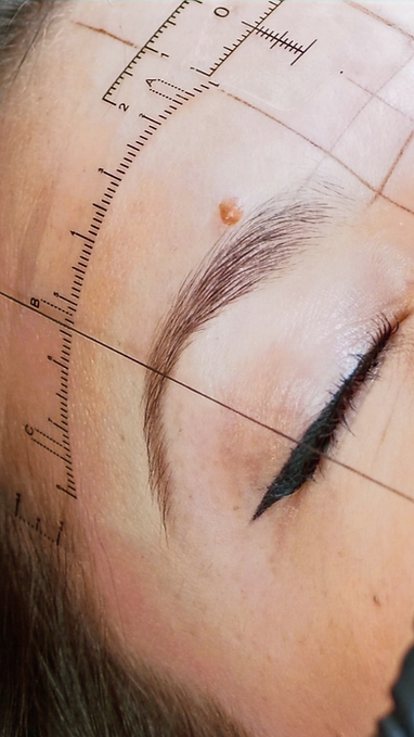pmu brow mapping consultation in boca raton fl
