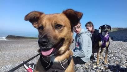 Suki