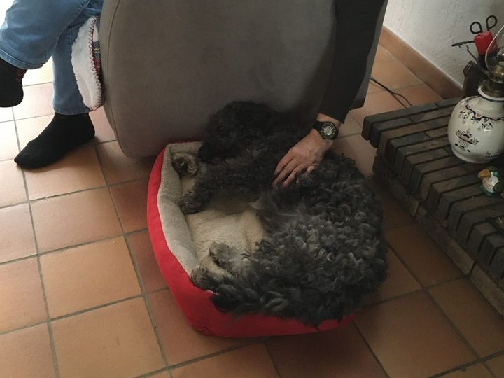 Lilou
