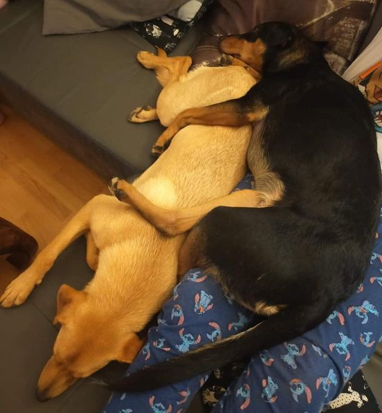 Jack & Winny