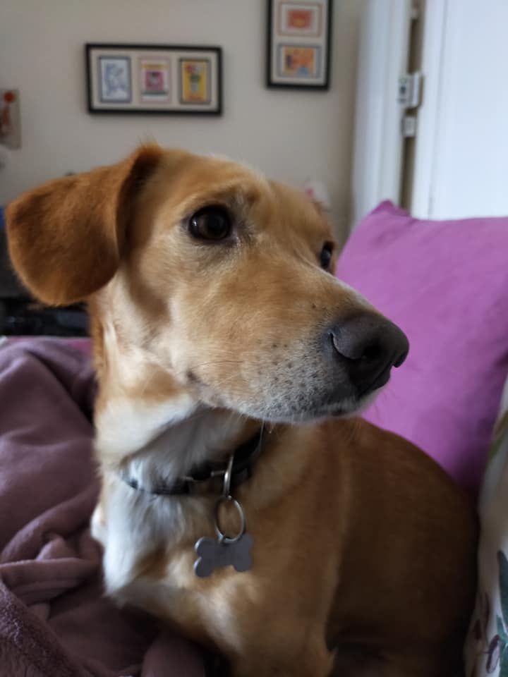 MILO
