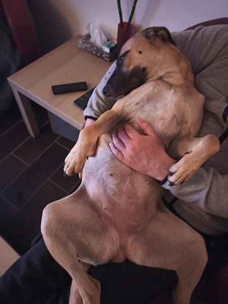Roxy