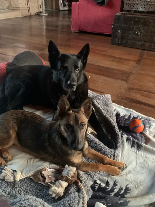 Eyka & Mado