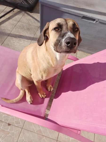 Roxy