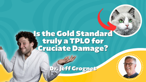 Is the Gold Standard truly a TPLO for Cruciate Damage?