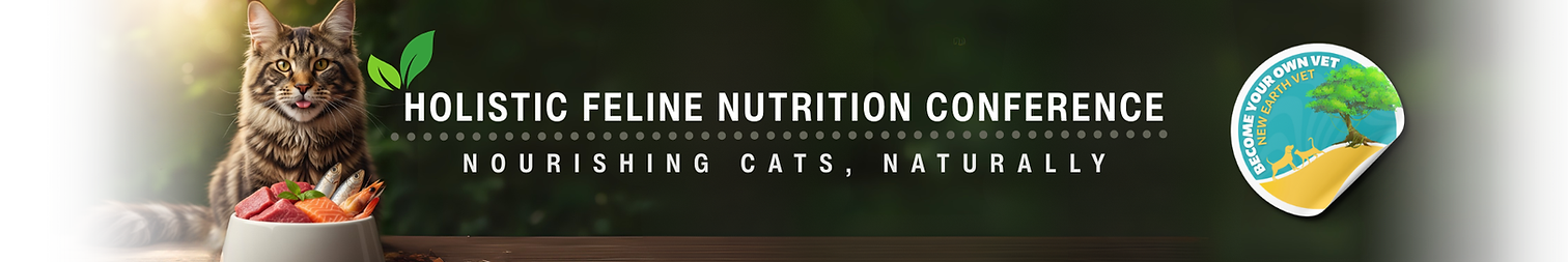 Conference 12 Wix banner.png