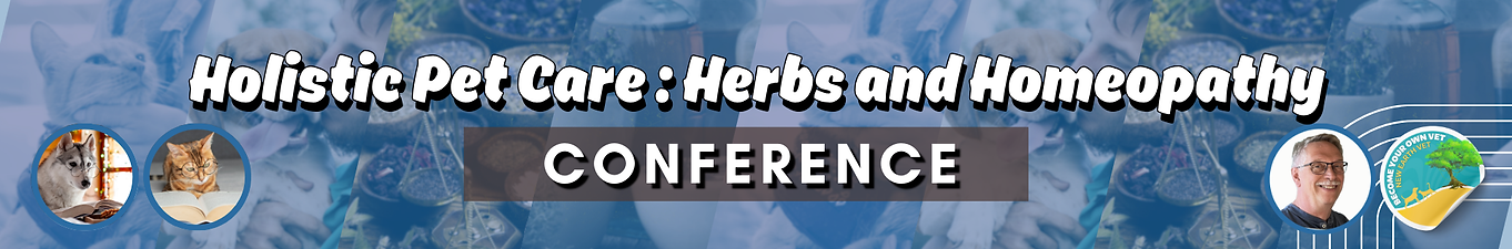 Conference 11 Banner Wix.png
