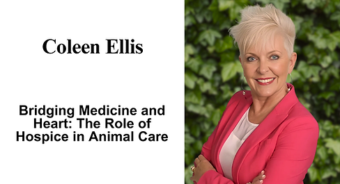 Free Access to Comprehensive Resources for Quality of Life, Pain Management, and Pet Memorialization