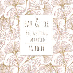Bar&Or