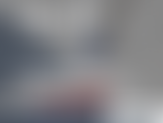 IRS: POWERING SERVICES THROUGH STEADY REVENUE SINCE 1862