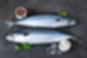 Fresh, raw mackerel with spices on a black concrete background.jpg