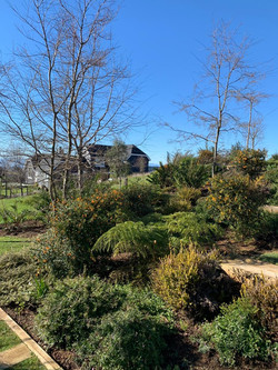 Jardín Casa Wulf