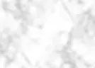 &WHITE 背景.webp
