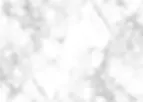 &WHITE 背景.webp