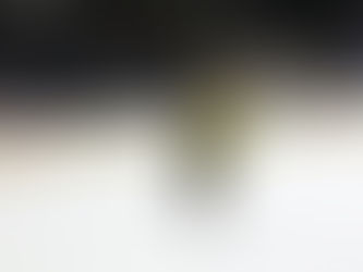 GALLAGHER’S HAT-TRICK POWERS P-BRUINS PAST WOLF PACK