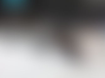 P-BRUINS EDGED BY THUNDERBIRDS