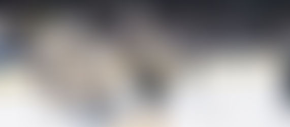 BRUNET’S LATE GOAL LIFTS P-BRUINS PAST THUNDERBIRDS