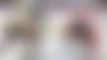 P-BRUINS FALL TO COMETS