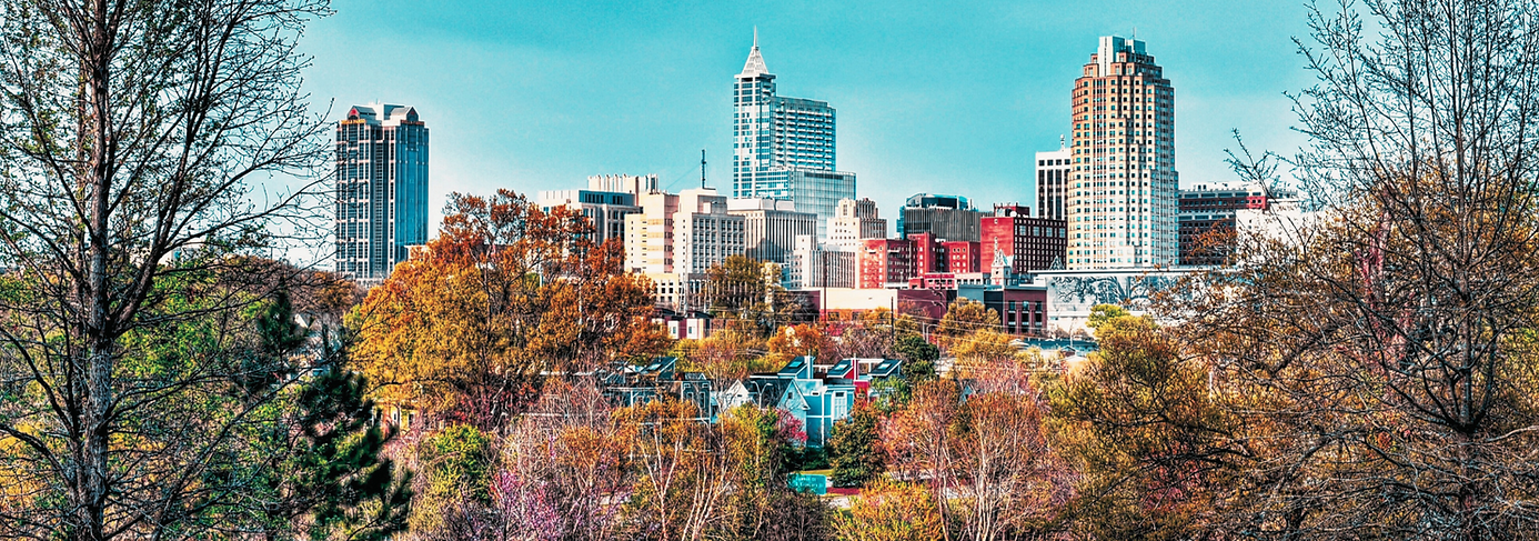 Raleigh Skyline