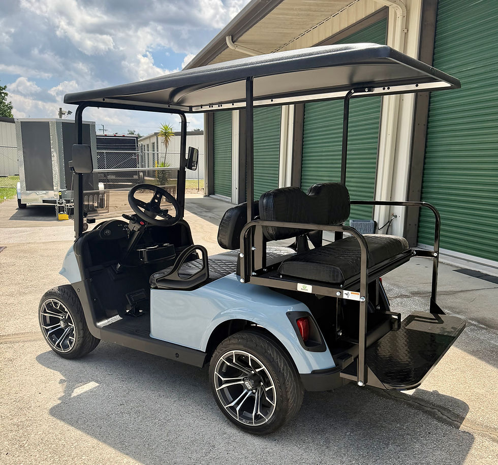 Thumbnail: 2021 RXV Lithium Custom Cart