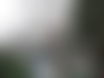 Raw Food Intentional Community in Tel Aviv: Our Stay at City Tree