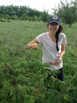 WWOOF: How to choose a farm?